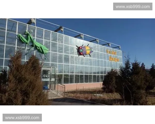 萌动全场可爱英雄集结，探索他们背后的奇妙世界与成长历程